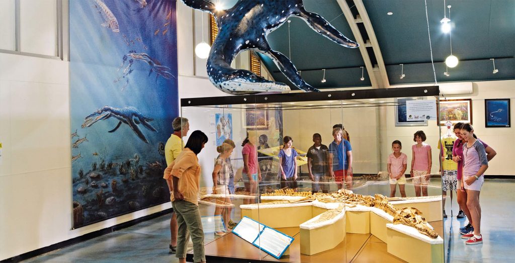 Jobs Townsville North Queensland Regional Development Australia